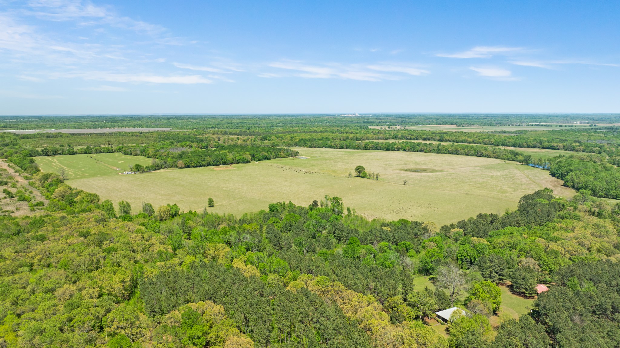 000 County Road 2356 Detroit TX 75436