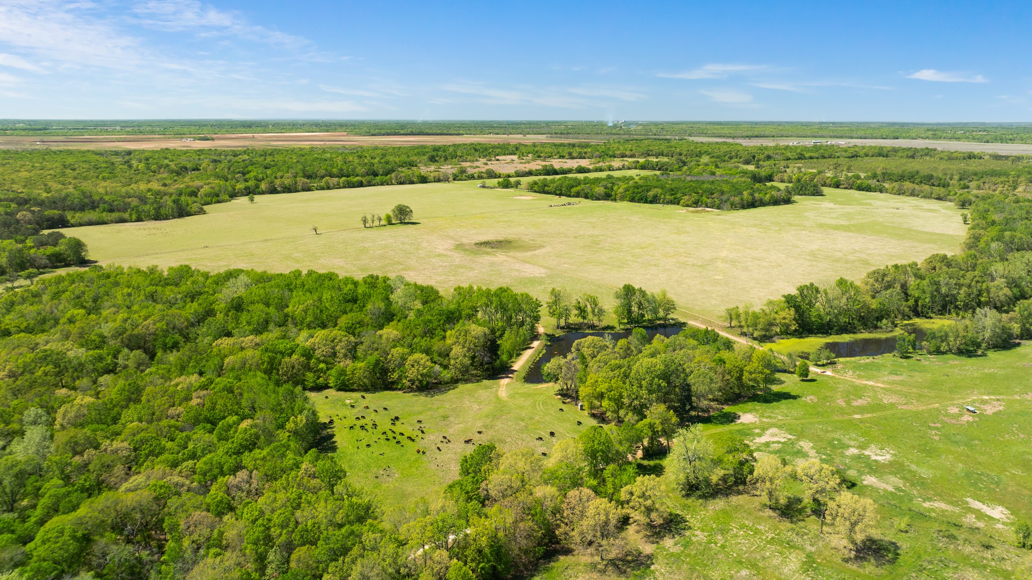 000 County Road 2356 Detroit TX 75436
