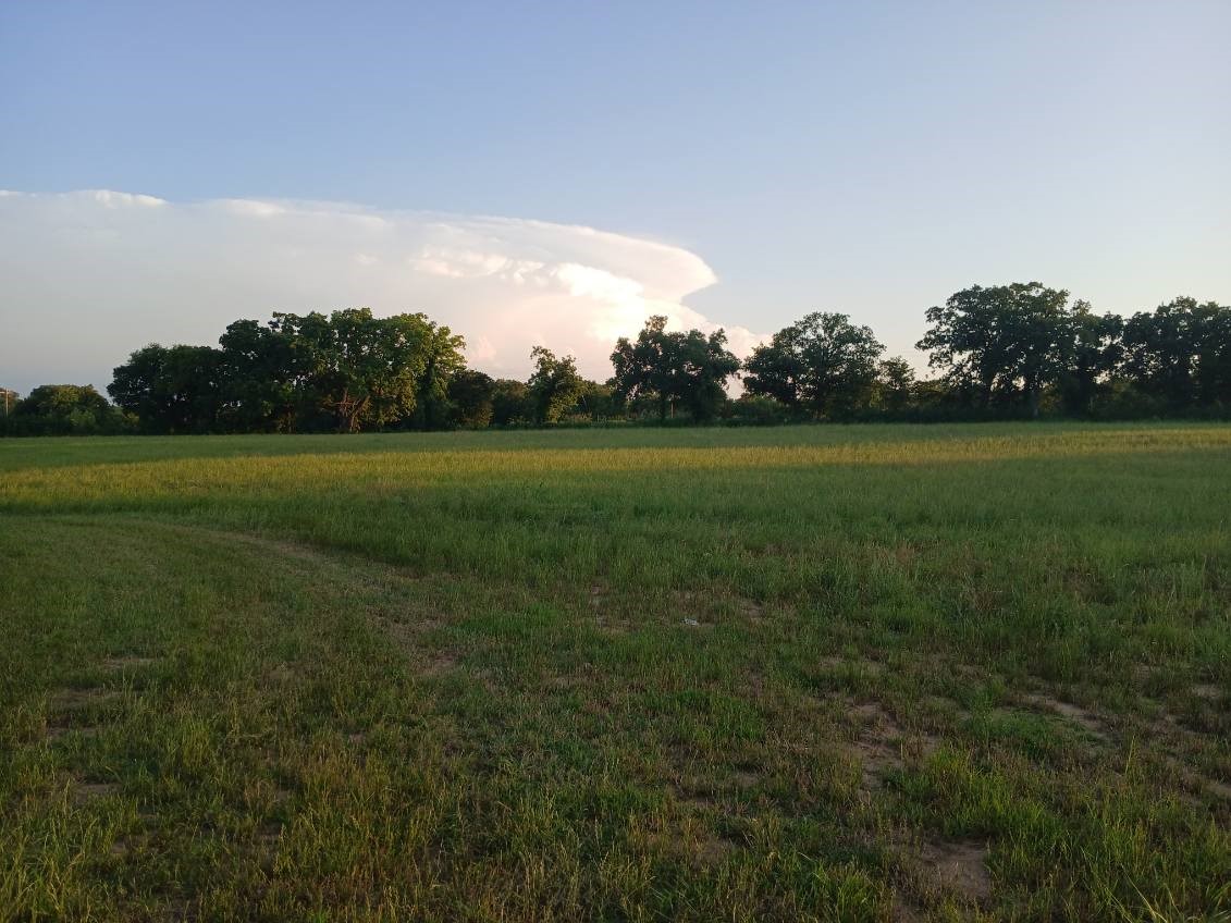 787 Greenwood Lane Forestburg TX 76239
