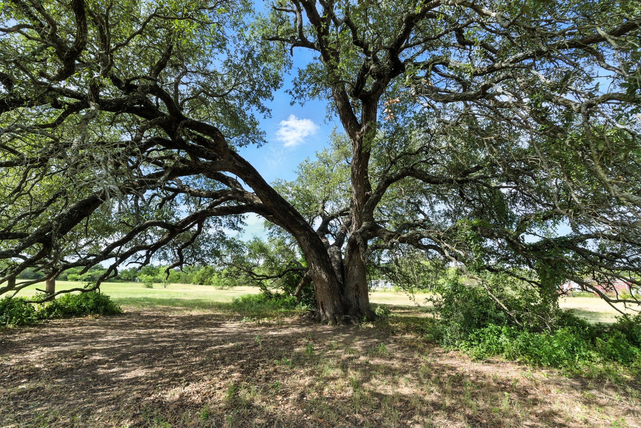 736 Lands Way Road Weatherford TX 76087