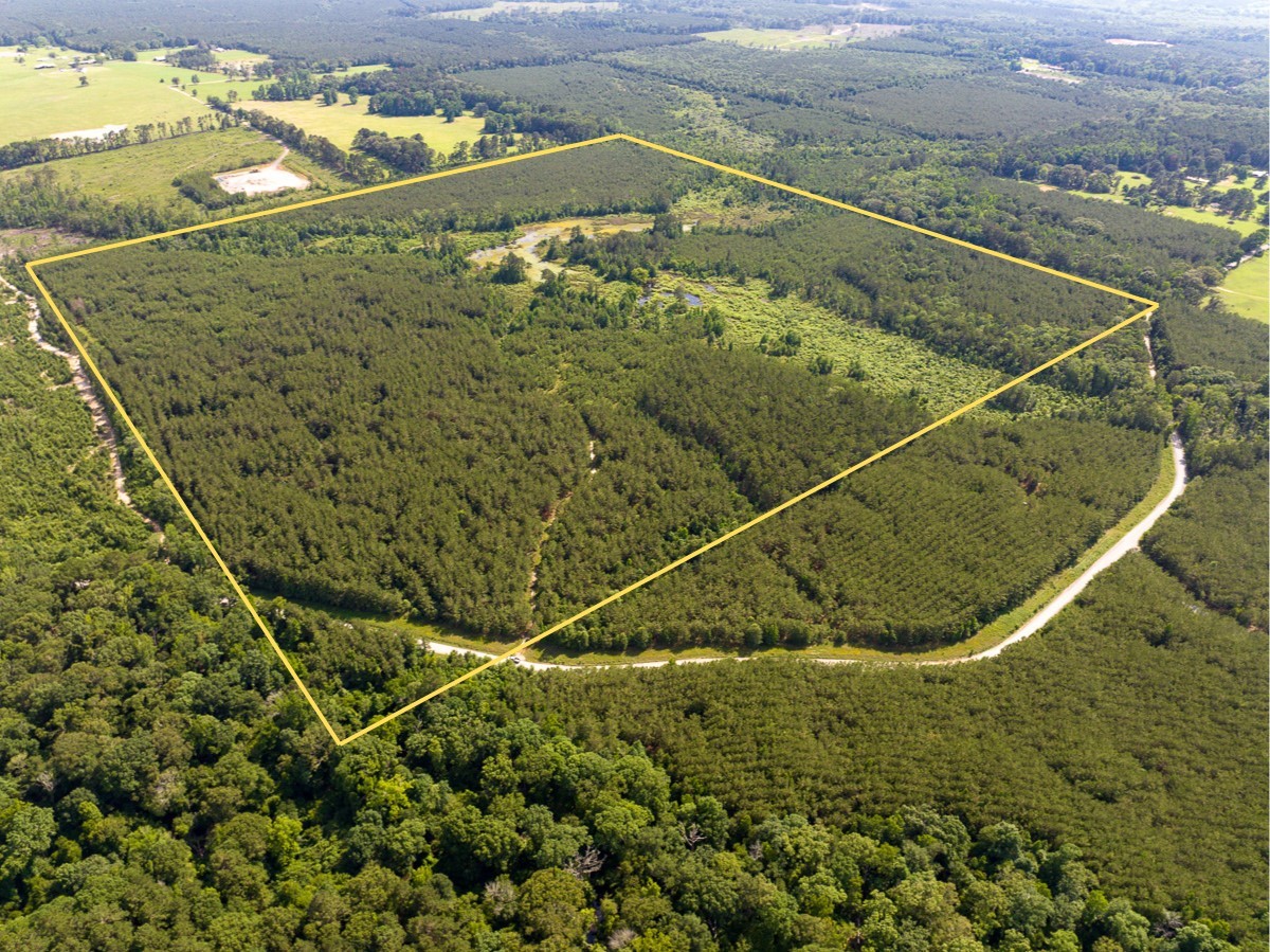 0 Ferguson Road Coushatta LA 71019