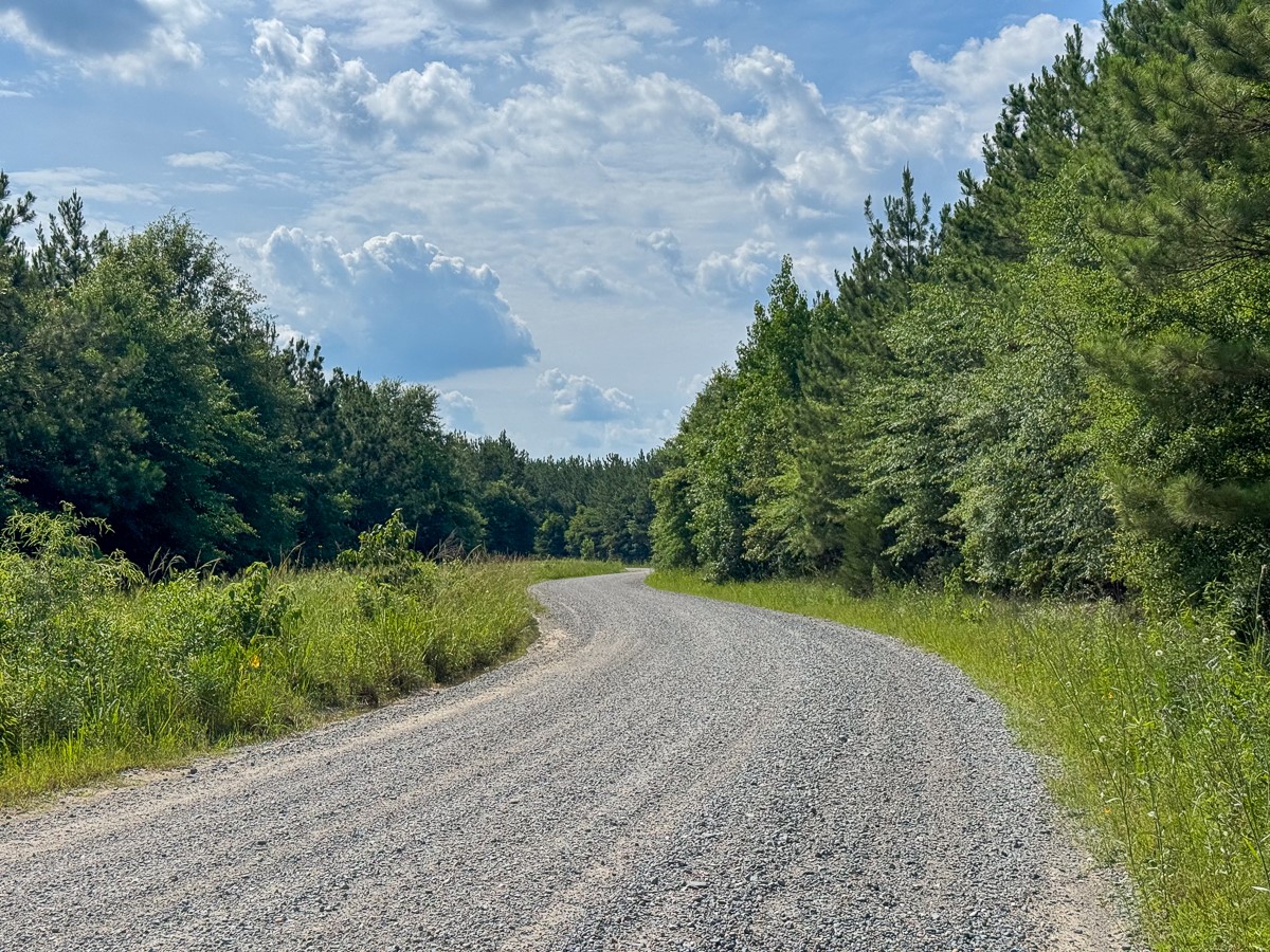 0 Ferguson Road Coushatta LA 71019