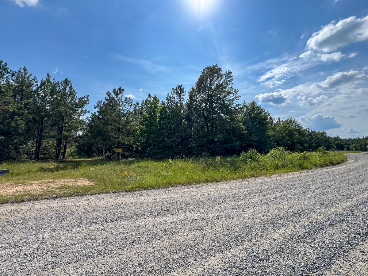 0 Ferguson Road Coushatta LA 71019