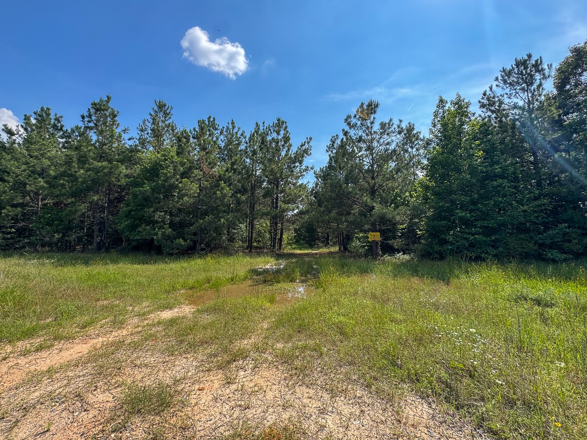 0 Ferguson Road Coushatta LA 71019