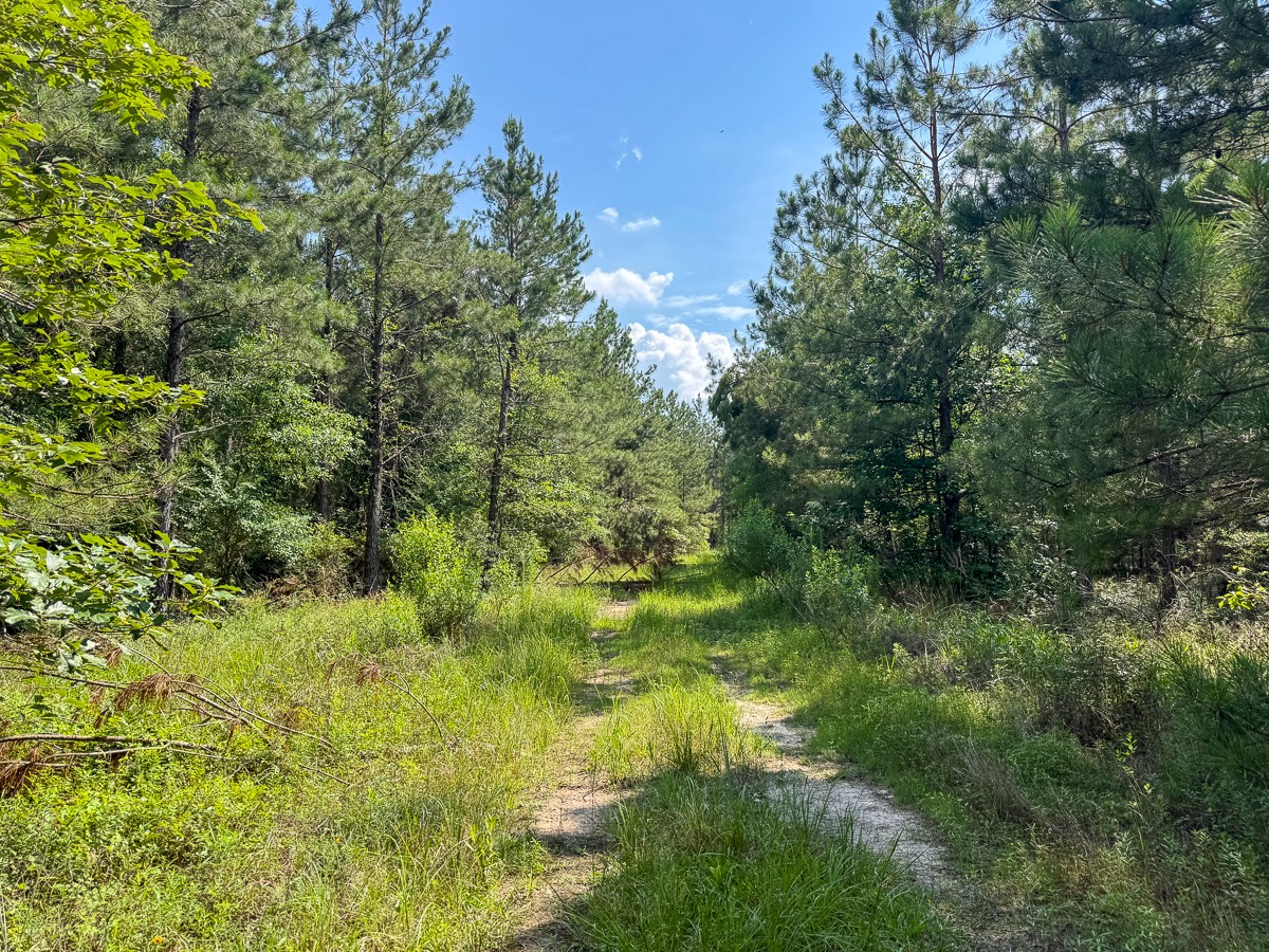 0 Ferguson Road Coushatta LA 71019