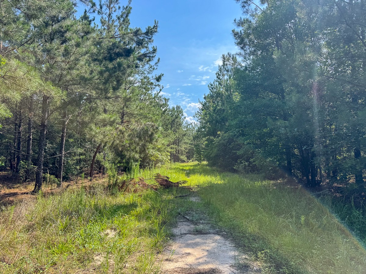 0 Ferguson Road Coushatta LA 71019