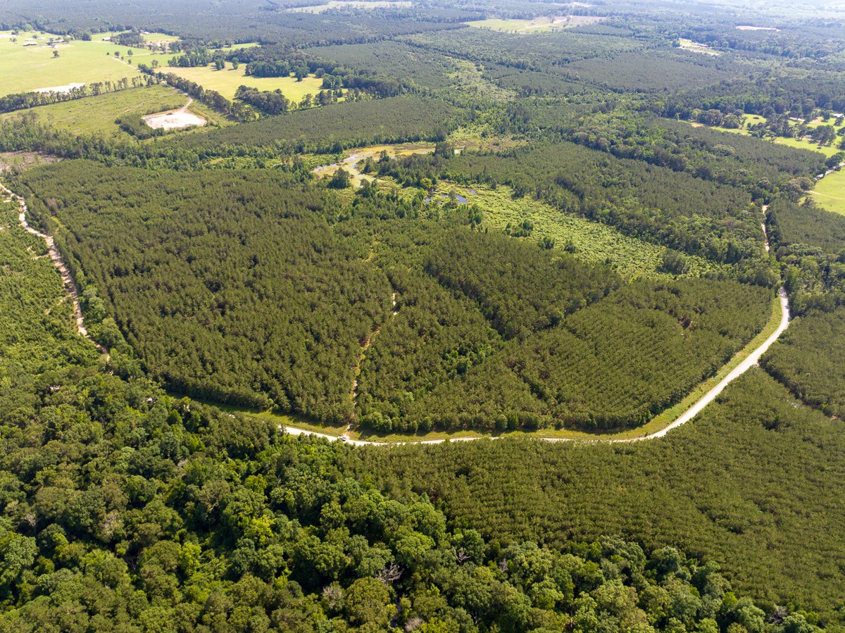0 Ferguson Road Coushatta LA 71019