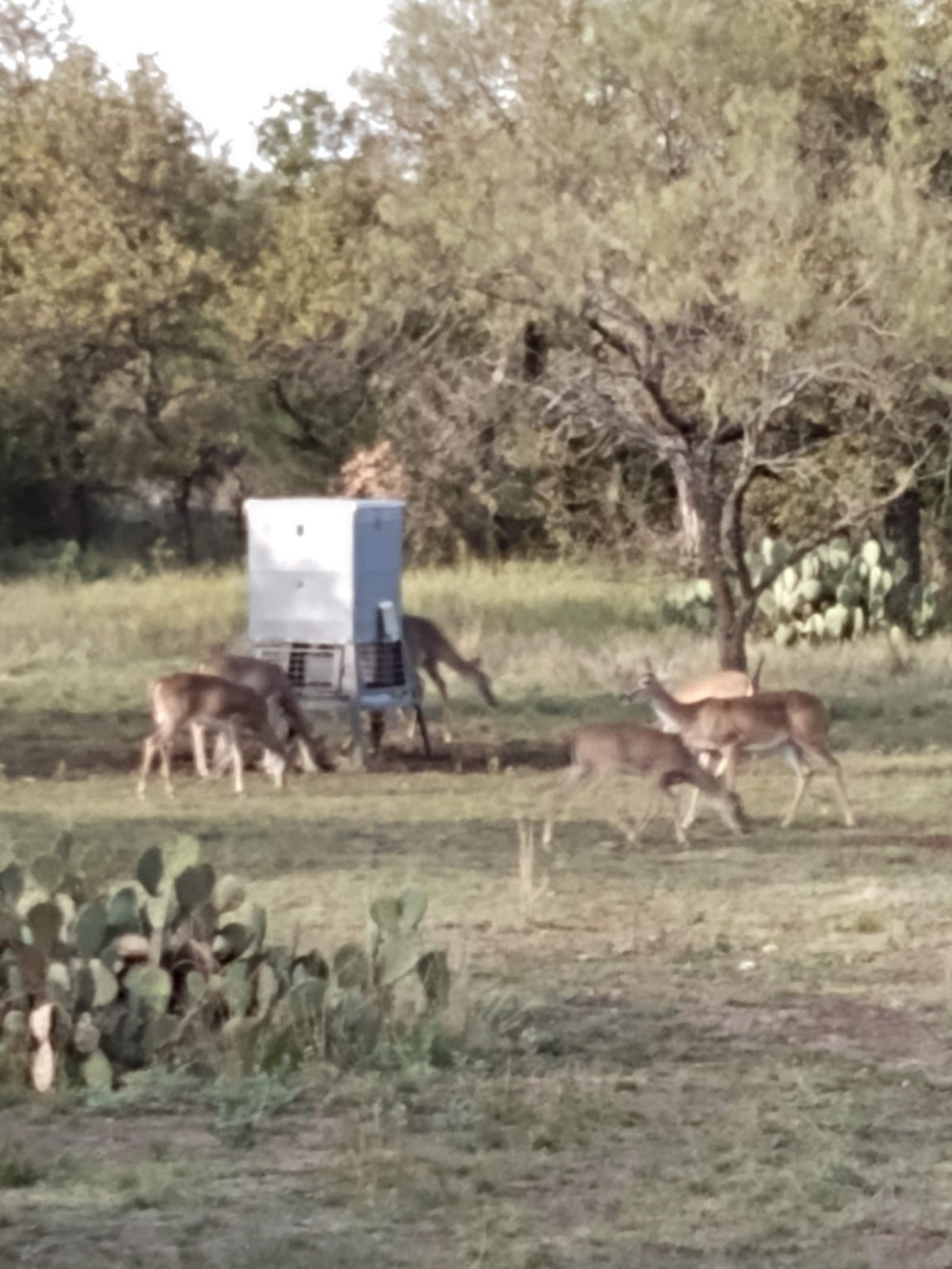 000 County Road 152 Brady TX 76825