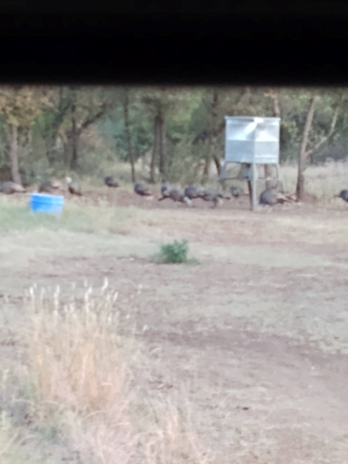 000 County Road 152 Brady TX 76825