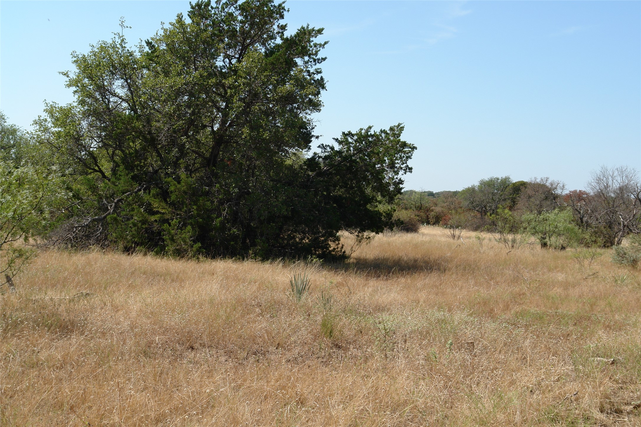 000 County Road 152 Brady TX 76825