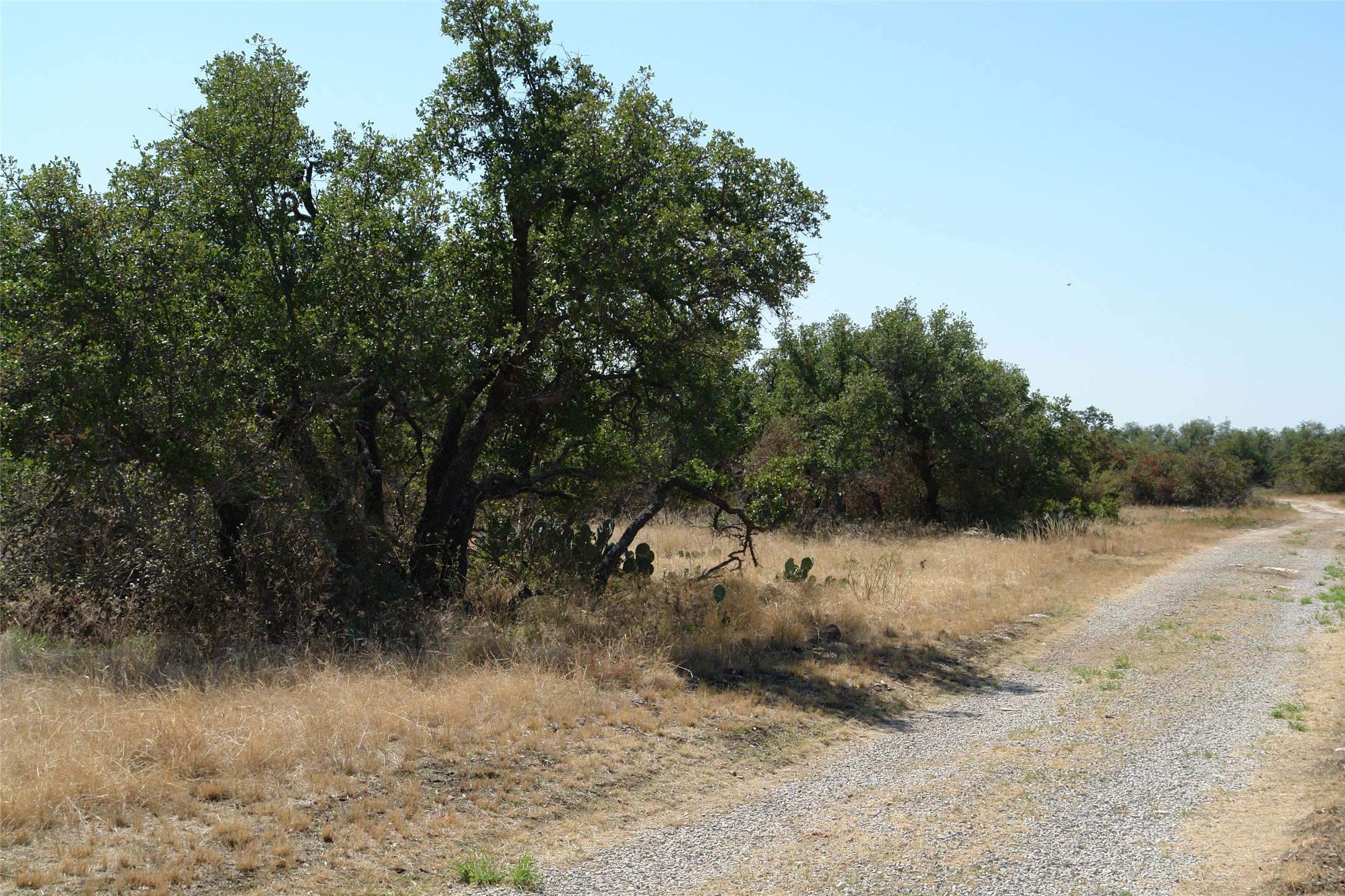 000 County Road 152 Brady TX 76825