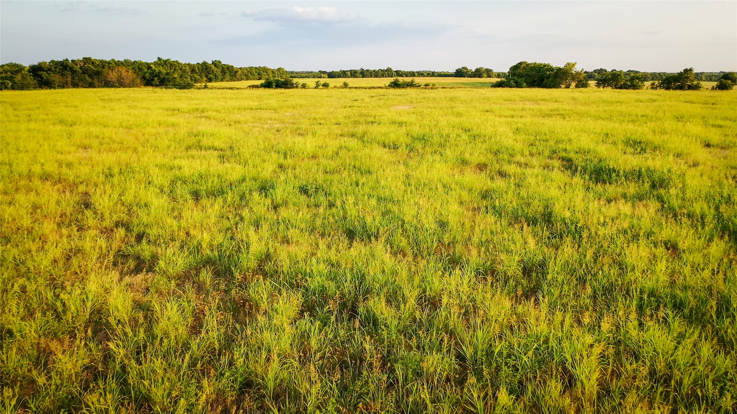 Tbd Cr 24800 Brookston TX 75421
