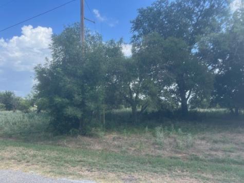 13106 Range Court Whitney TX 76692