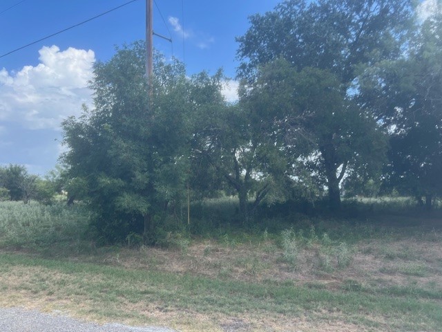 13106 Range Court Whitney TX 76692
