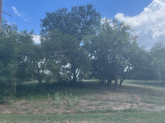 13106 Range Court Whitney TX 76692