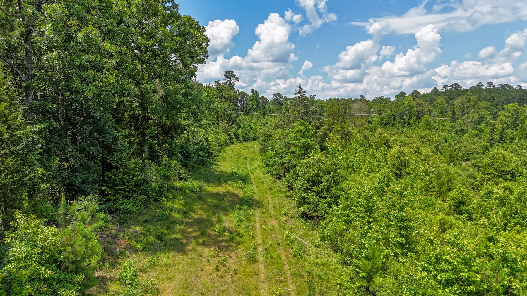 000 Avinger Cutoff Road Avinger TX 75630