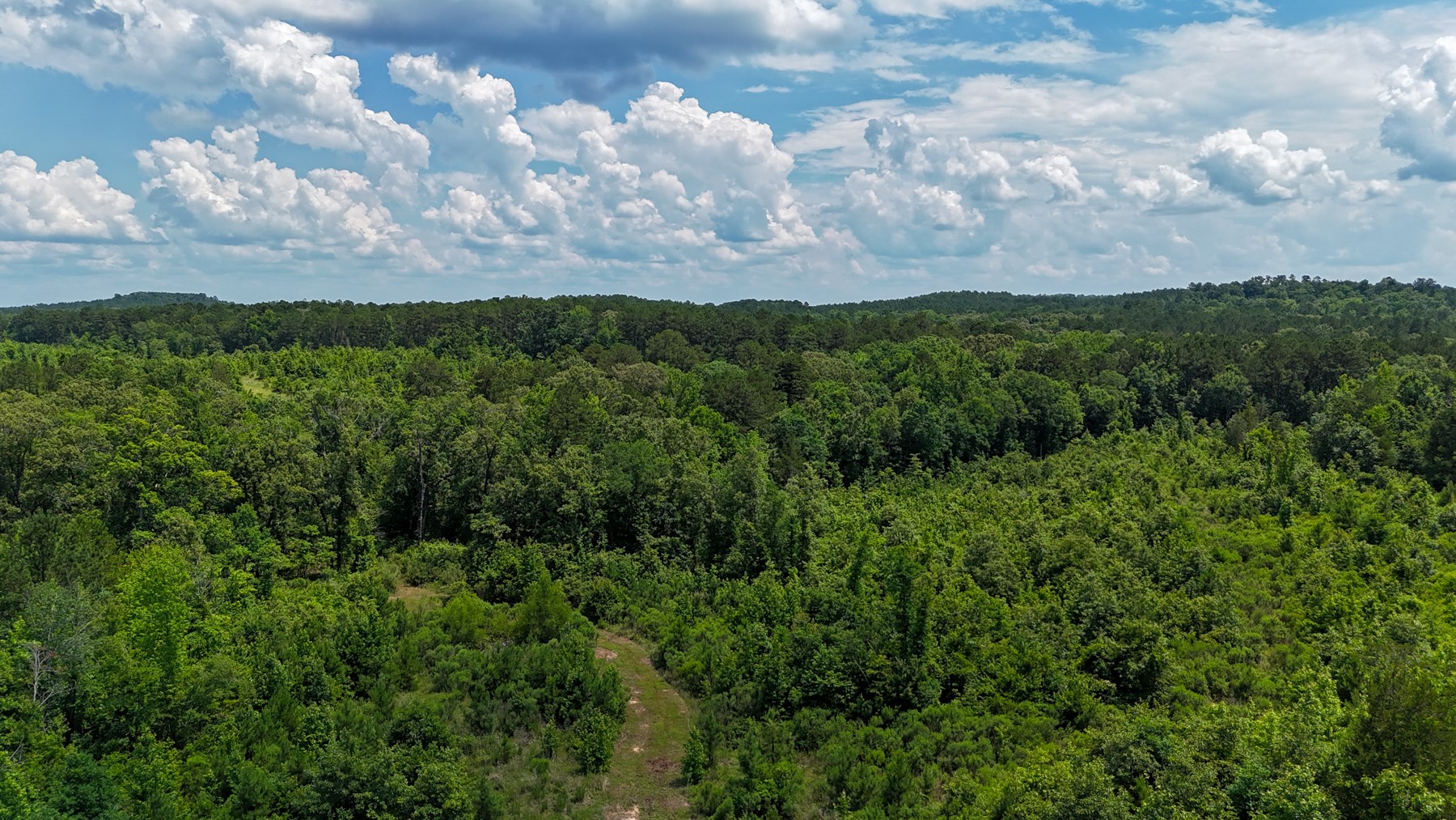 000 Avinger Cutoff Road Avinger TX 75630