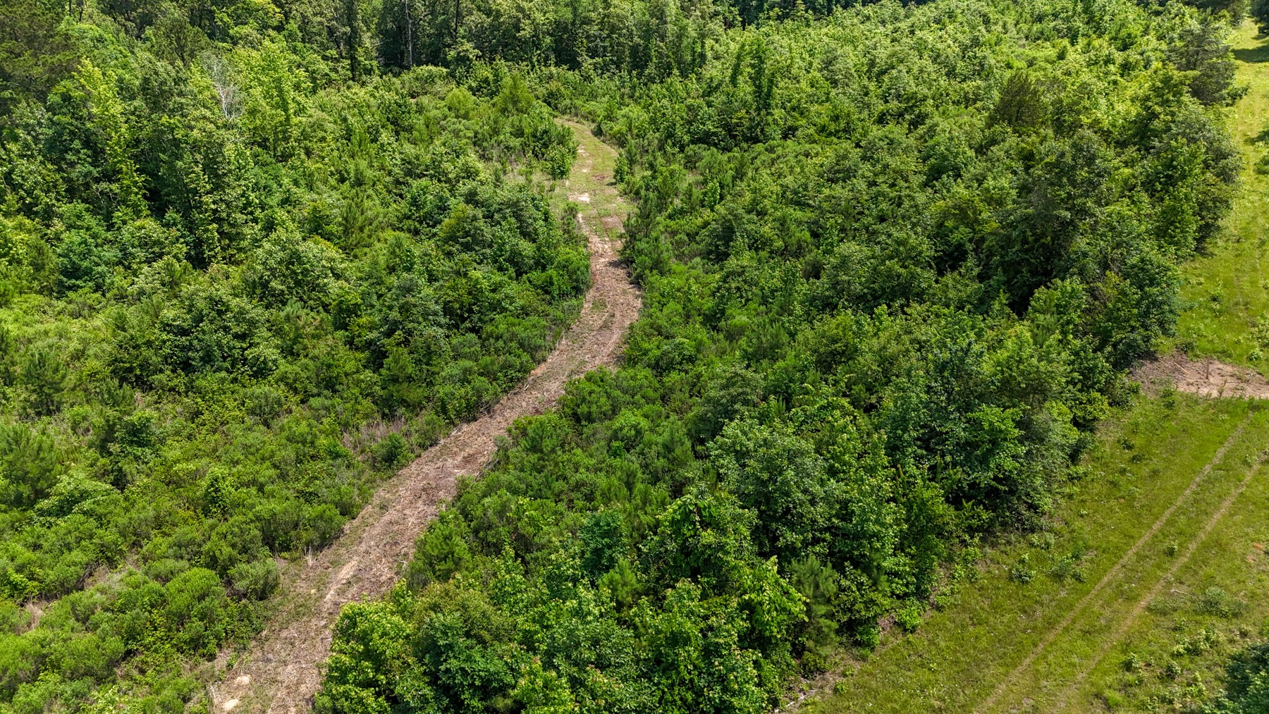 000 Avinger Cutoff Road Avinger TX 75630