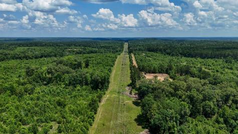 000 Avinger Cutoff Road Avinger TX 75630