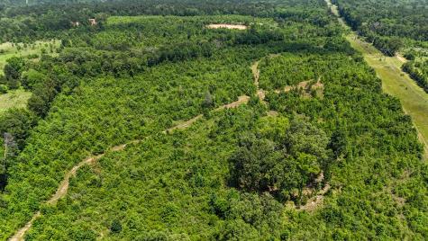 000 Avinger Cutoff Road Avinger TX 75630