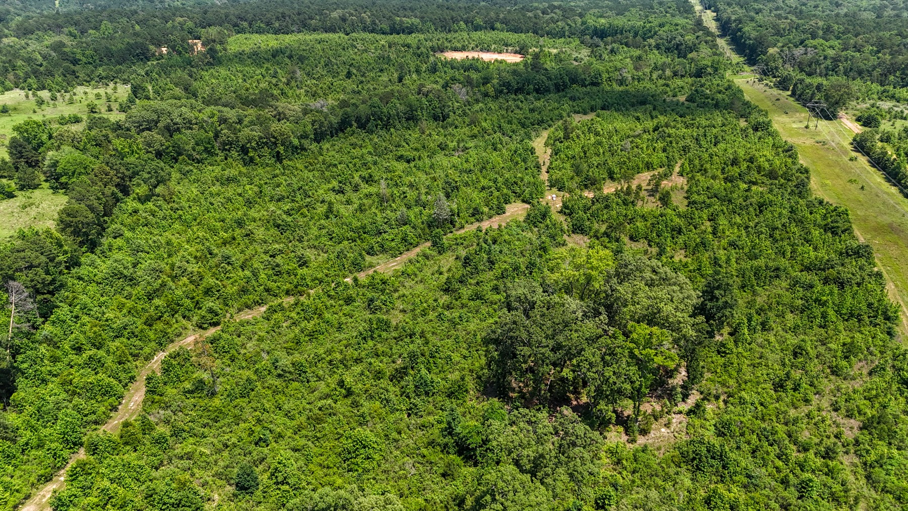 000 Avinger Cutoff Road Avinger TX 75630