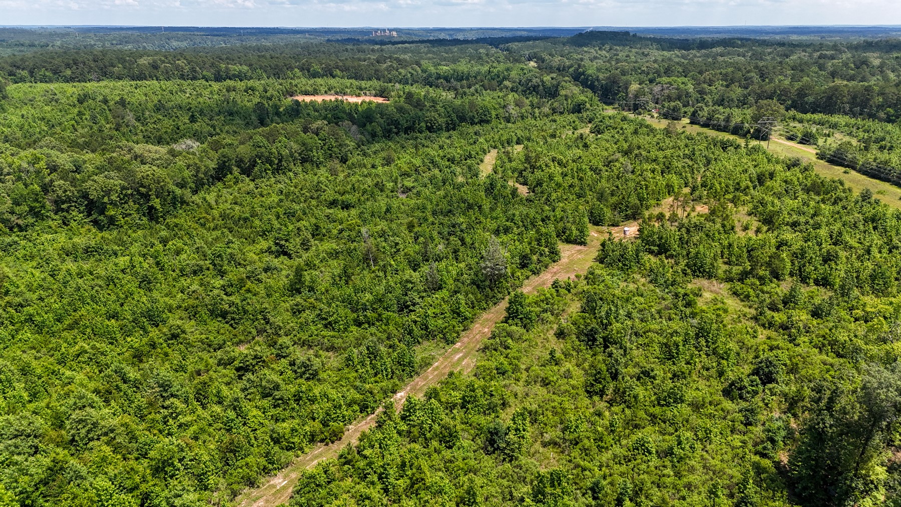 000 Avinger Cutoff Road Avinger TX 75630