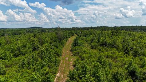 000 Avinger Cutoff Road Avinger TX 75630