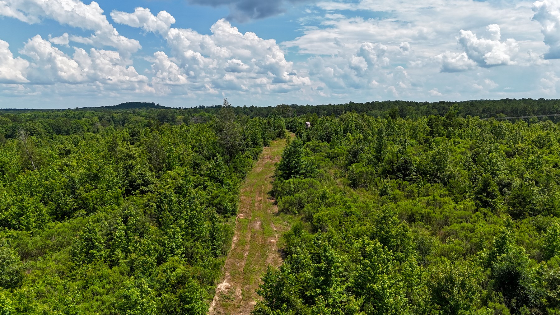 000 Avinger Cutoff Road Avinger TX 75630