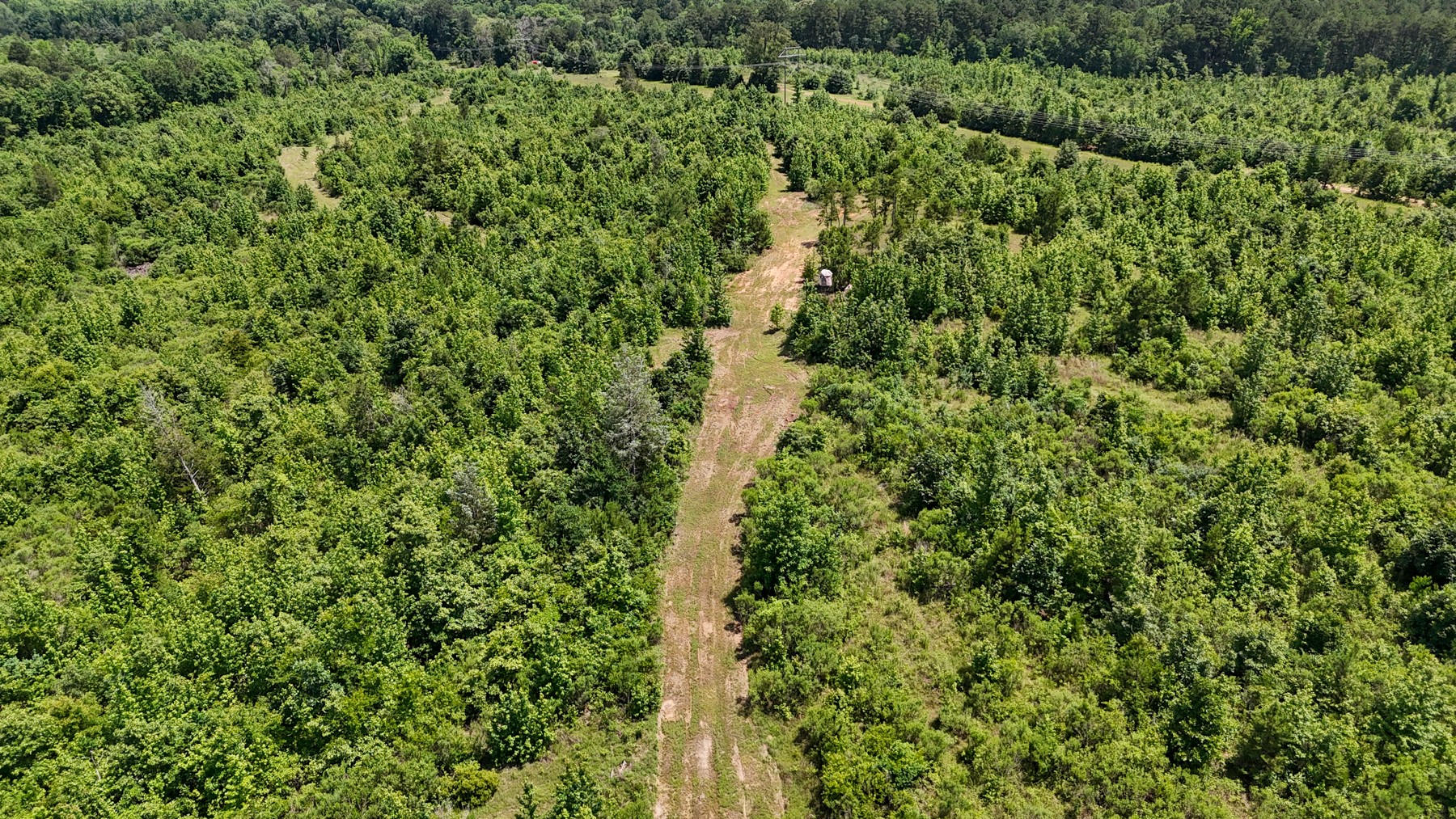 000 Avinger Cutoff Road Avinger TX 75630