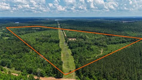 000 Avinger Cutoff Road Avinger TX 75630