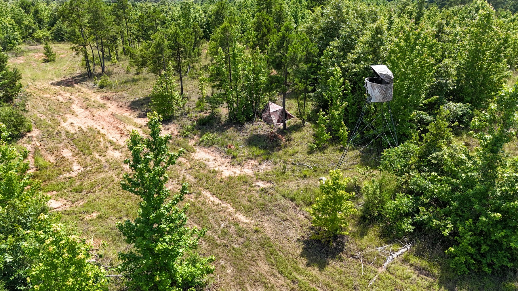 000 Avinger Cutoff Road Avinger TX 75630