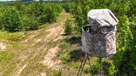000 Avinger Cutoff Road Avinger TX 75630