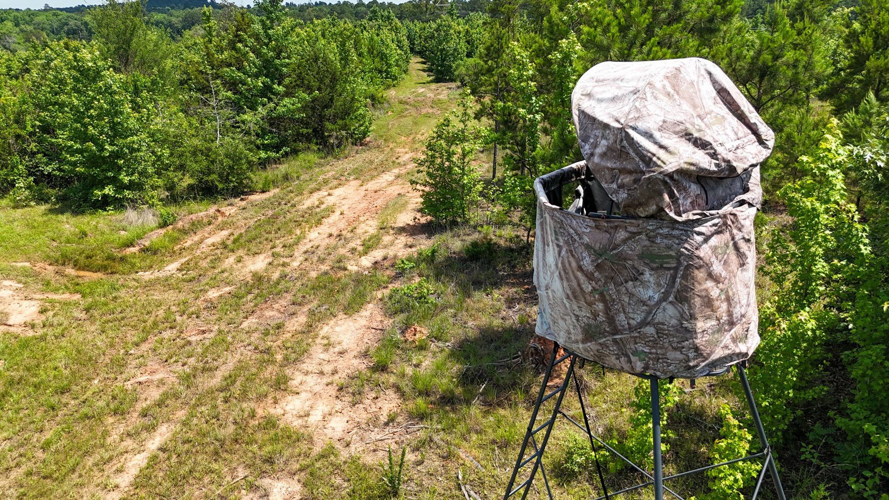 000 Avinger Cutoff Road Avinger TX 75630