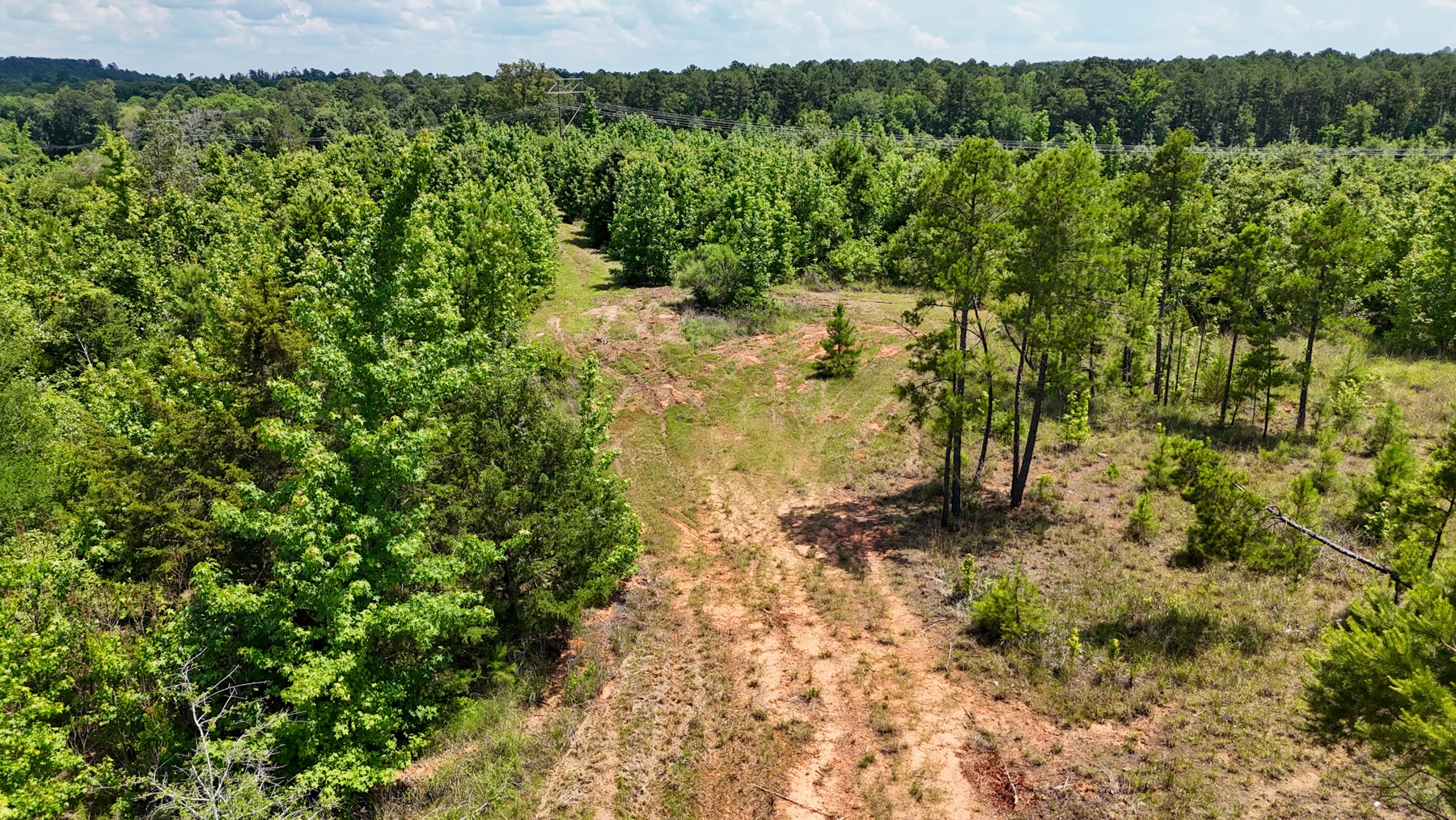 000 Avinger Cutoff Road Avinger TX 75630