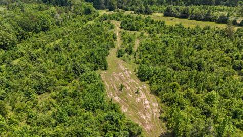 000 Avinger Cutoff Road Avinger TX 75630