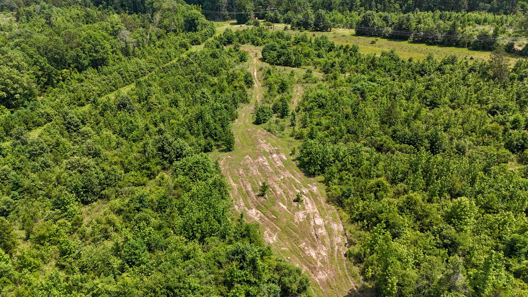 000 Avinger Cutoff Road Avinger TX 75630