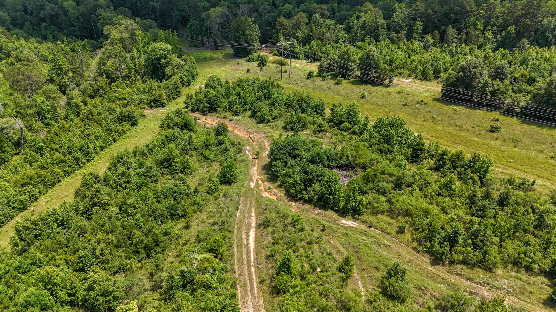 000 Avinger Cutoff Road Avinger TX 75630