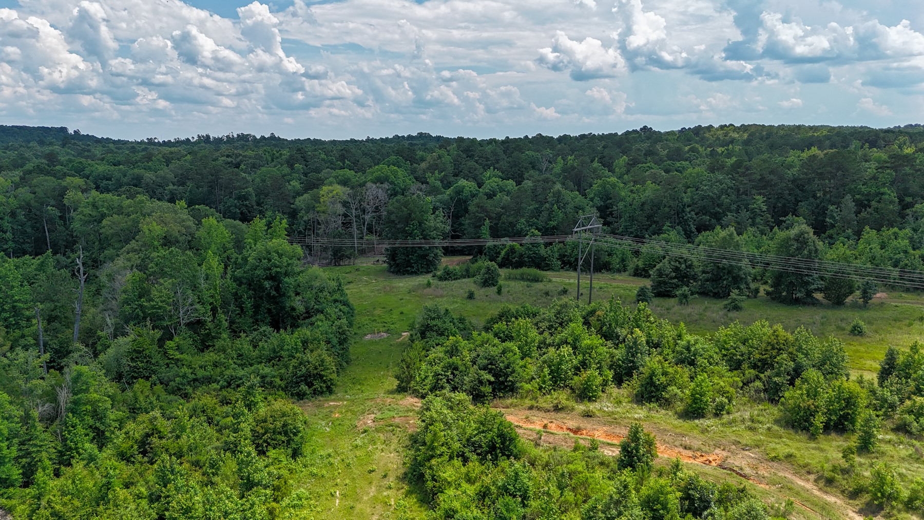 000 Avinger Cutoff Road Avinger TX 75630