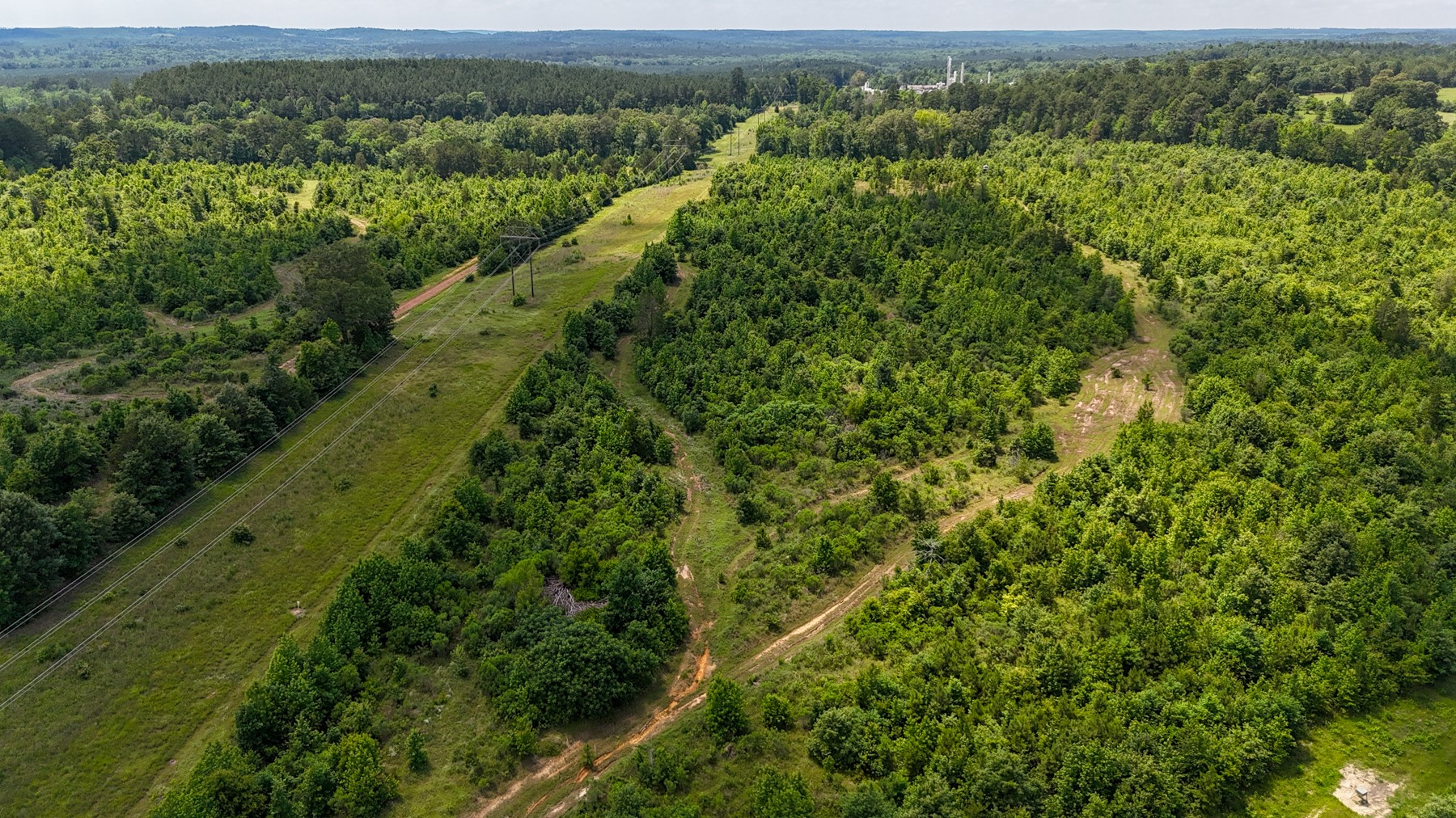 000 Avinger Cutoff Road Avinger TX 75630