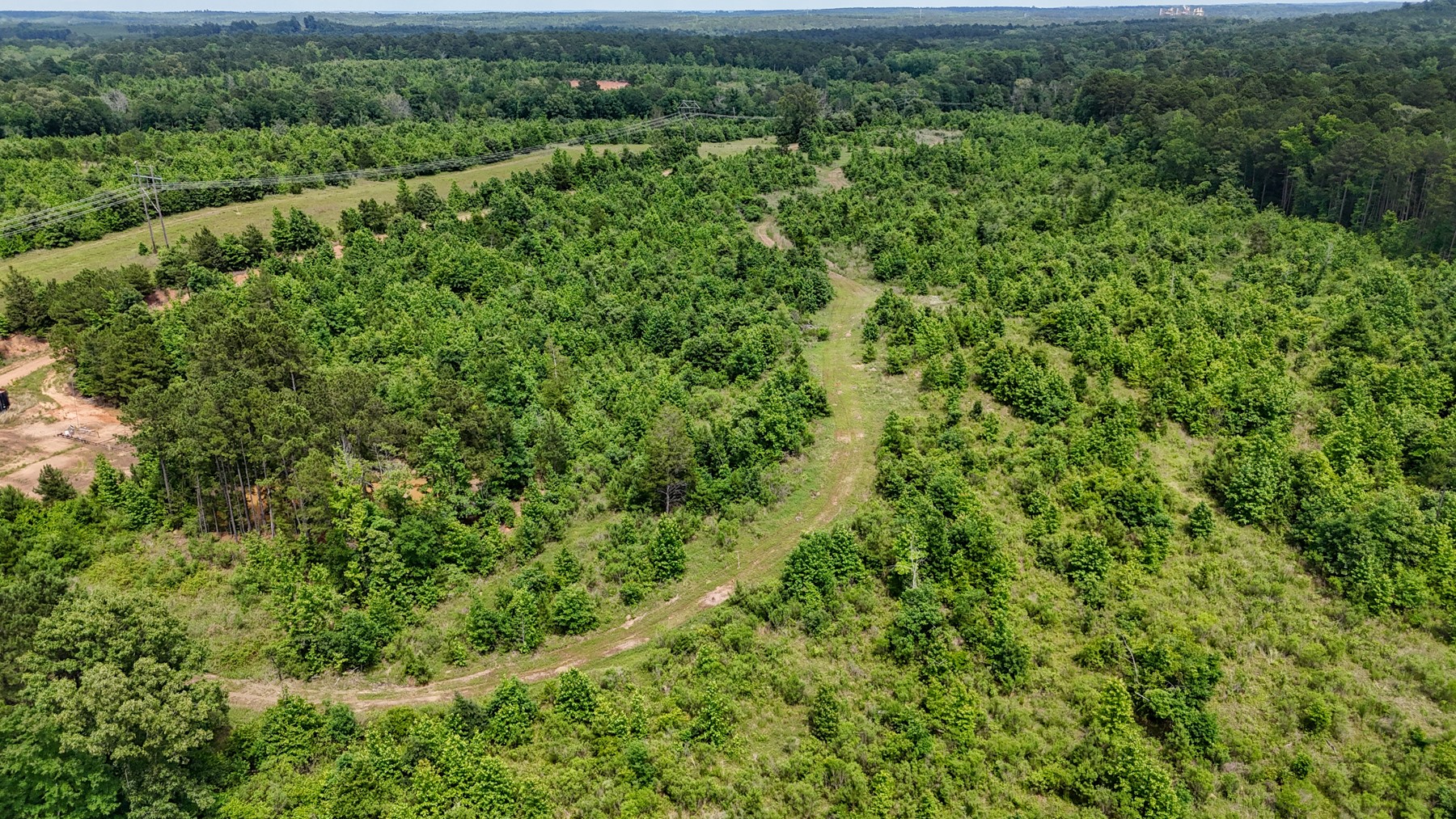 000 Avinger Cutoff Road Avinger TX 75630