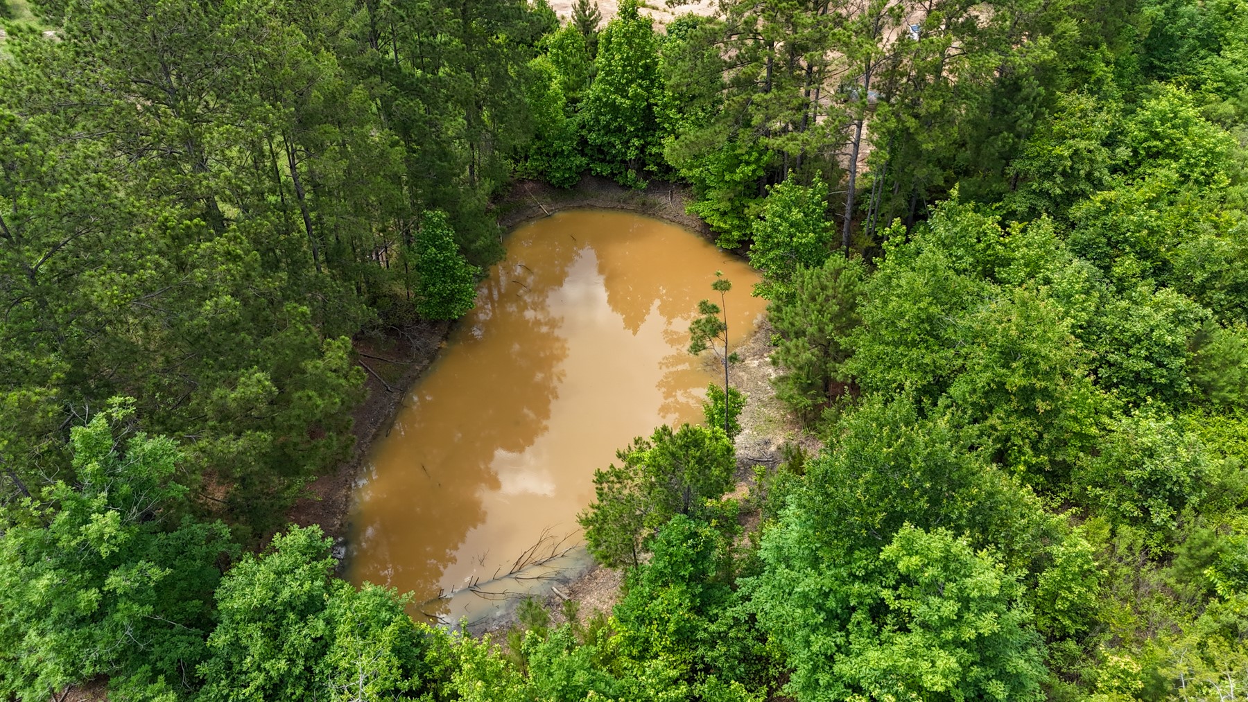 000 Avinger Cutoff Road Avinger TX 75630