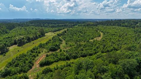 000 Avinger Cutoff Road Avinger TX 75630