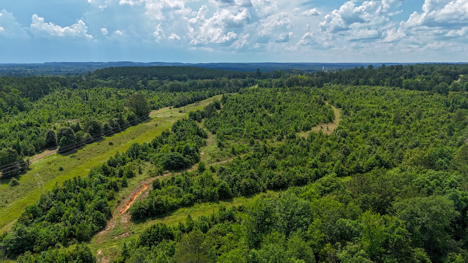 000 Avinger Cutoff Road Avinger TX 75630