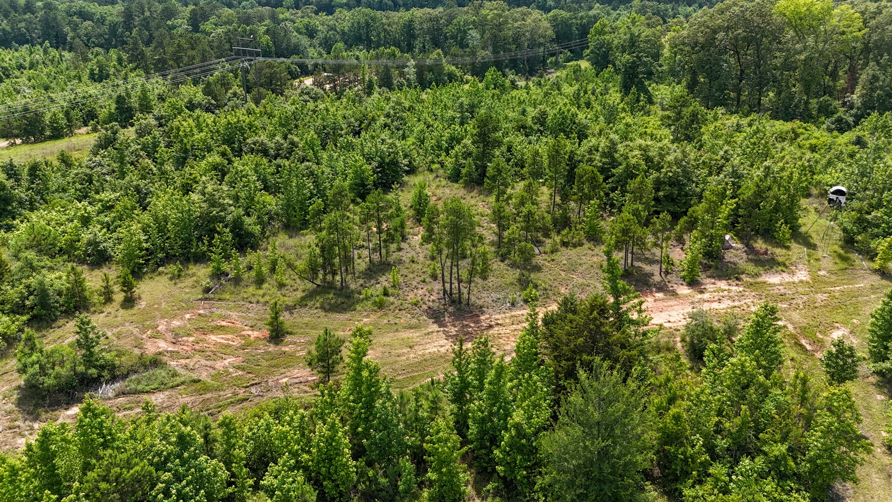 000 Avinger Cutoff Road Avinger TX 75630
