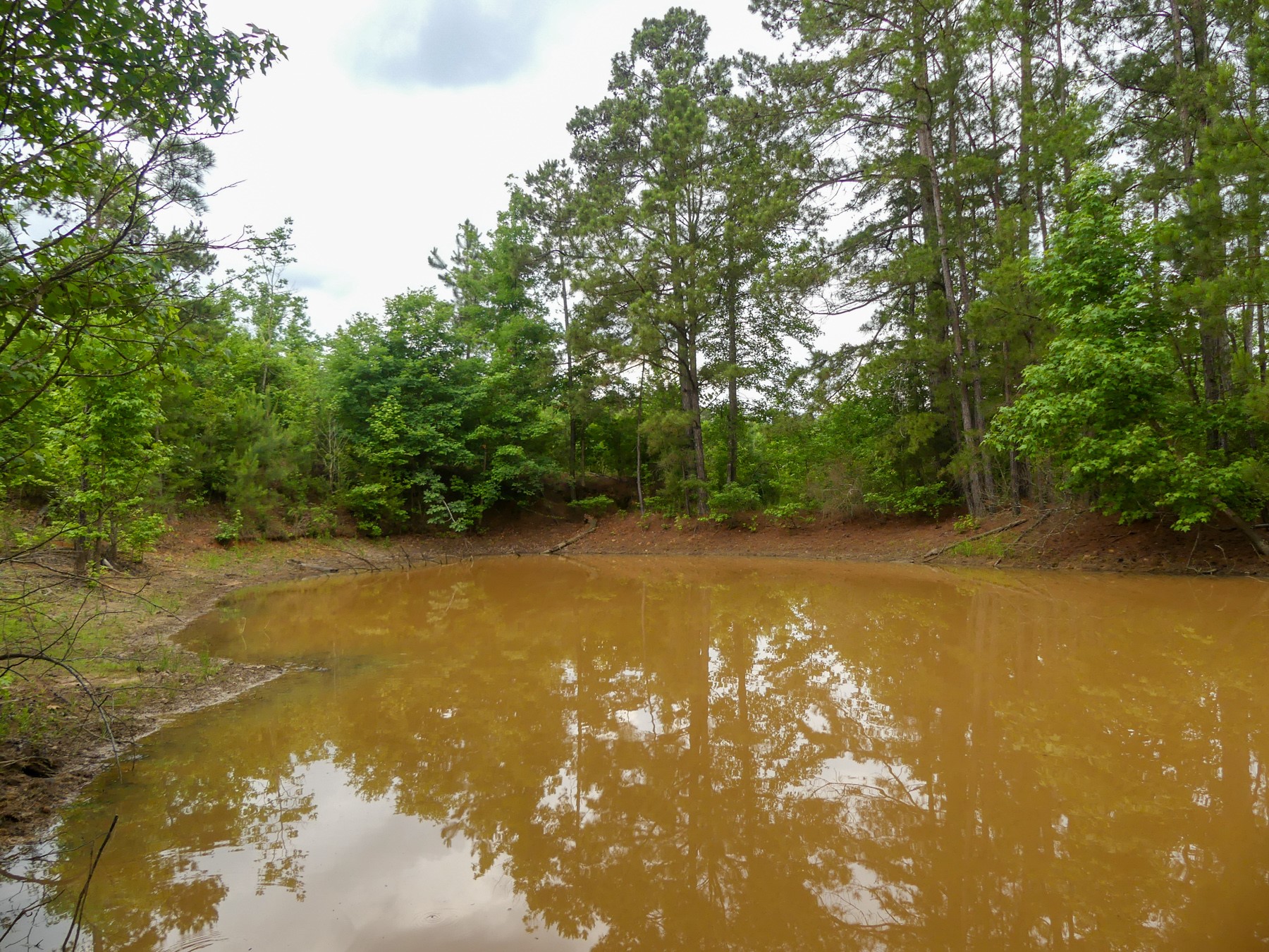 000 Avinger Cutoff Road Avinger TX 75630