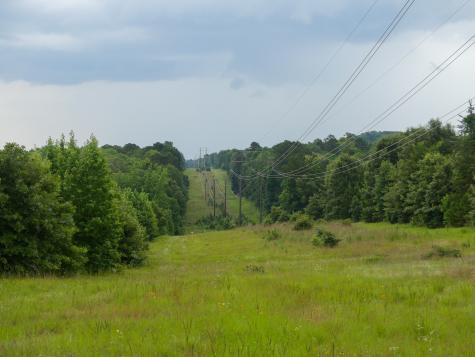 000 Avinger Cutoff Road Avinger TX 75630