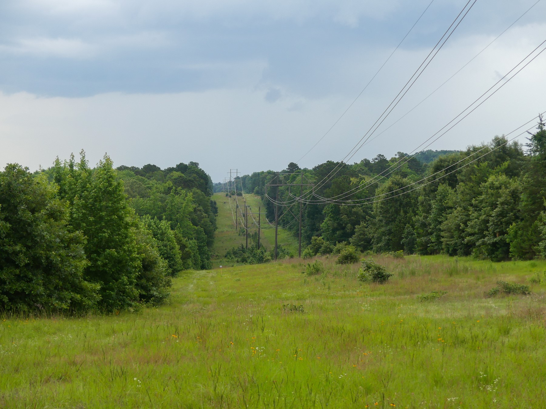 000 Avinger Cutoff Road Avinger TX 75630