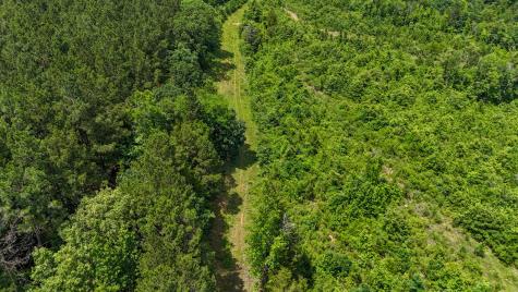 000 Avinger Cutoff Road Avinger TX 75630