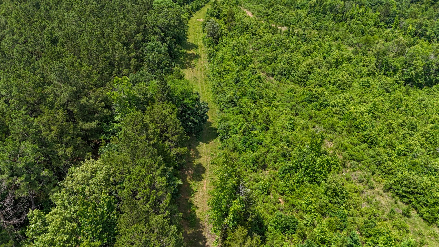 000 Avinger Cutoff Road Avinger TX 75630