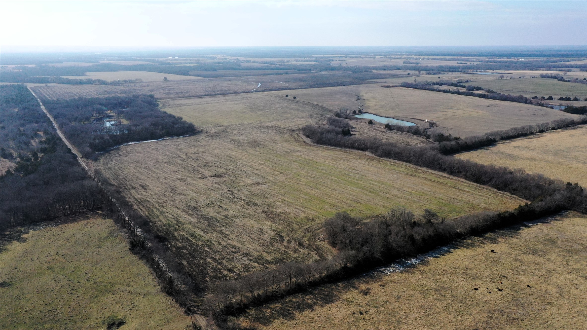 988 County Road 4142 Bonham TX 75418